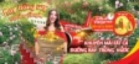 Khuyến mãi lớn Vé 0 Đồng đầu Xuân Mậu Tuất 2018